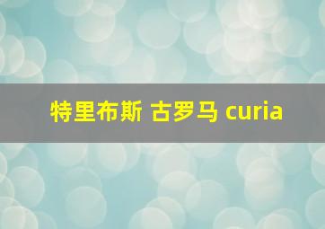 特里布斯 古罗马 curia